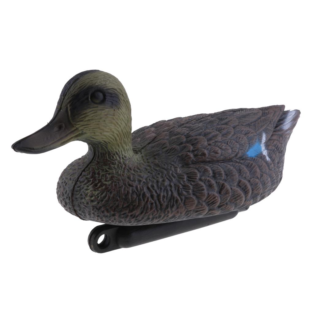 Decoy Duck Plastic - 가짜 새 사냥용 미끼 인형, 실물