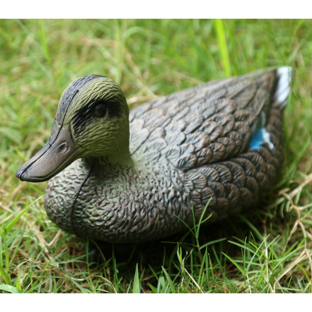 만다린 오리 장식품 사실적인 오리 모형 플라스틱 가짜  - Decoy Duck Plastic 리뷰 및 가격