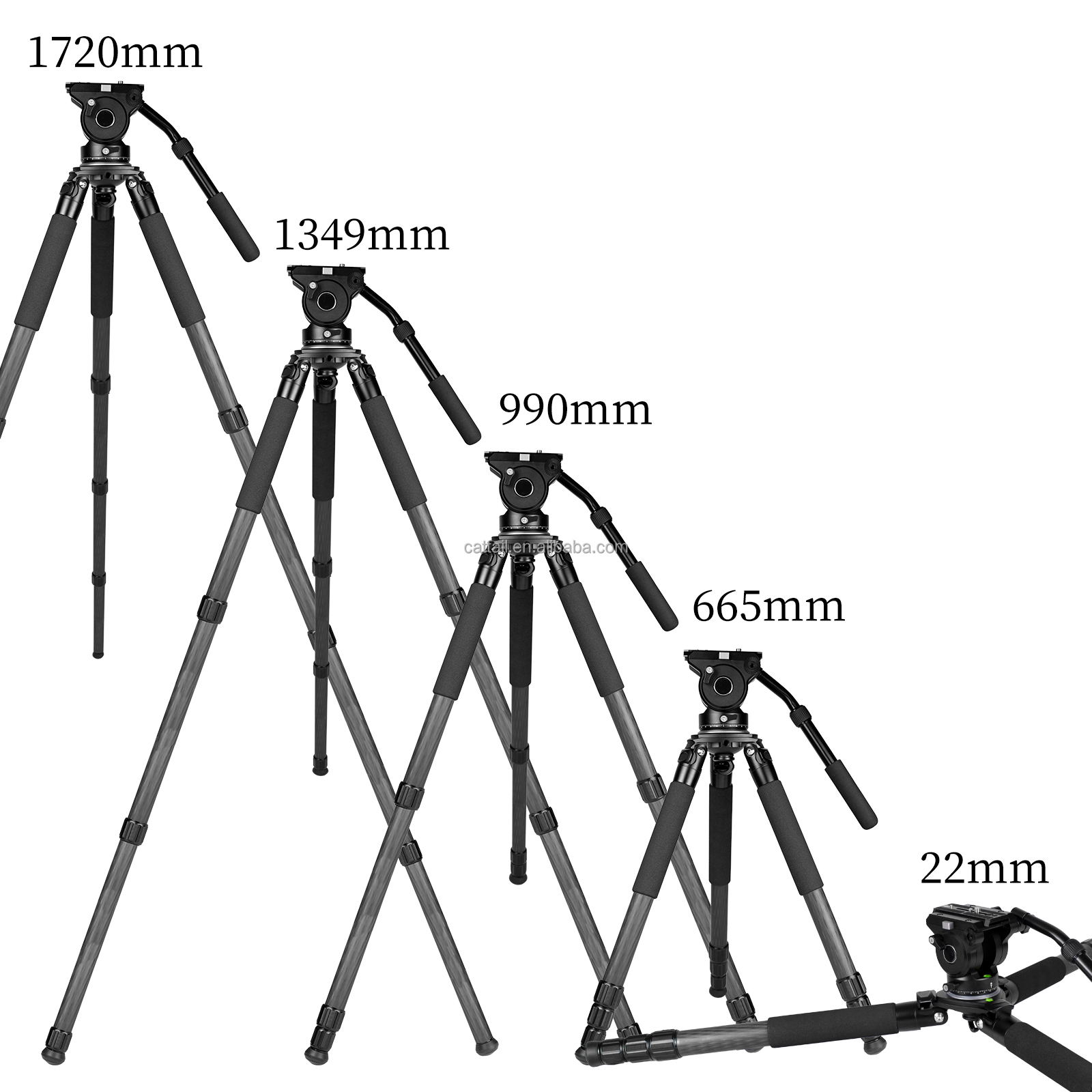캣테일 CT-3 프로페셔널 40MM 카본 파이버 야외  - Outdoor Hunting Photography 리뷰 및 가격