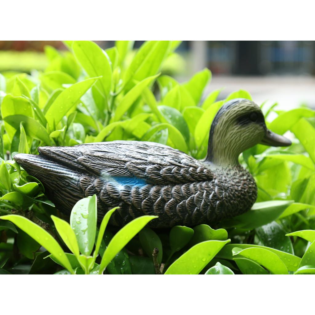 가짜 새 사냥용 미끼 인형, 실물 같은 만다린 오리 플 - Decoy Duck Plastic 리뷰 및 가격