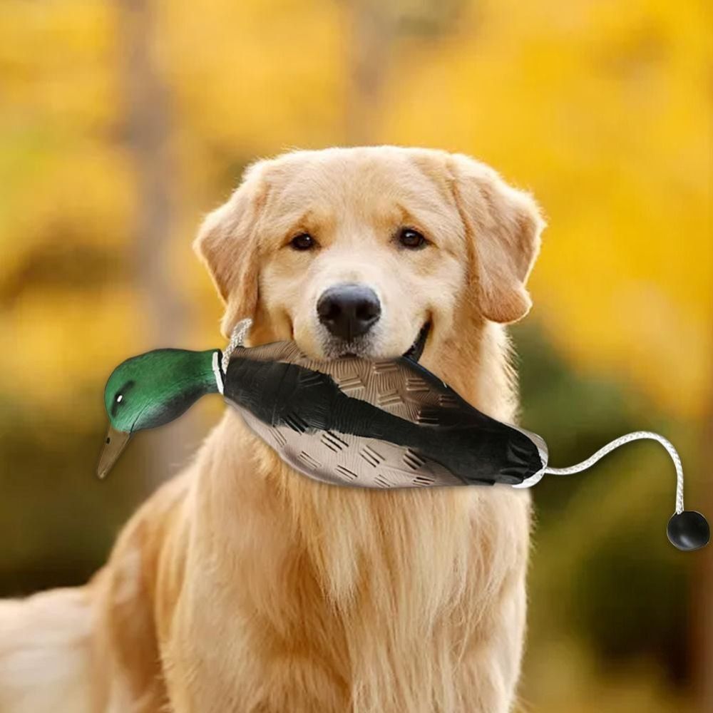 Mallard Duck Decoy 개 훈련 장난감 개  - Decoy Duck Plastic 리뷰 및 가격